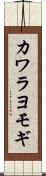 カワラヨモギ Scroll