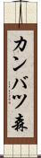 カンバツ森 Scroll