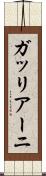 ガッリアーニ Scroll