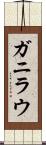 ガニラウ Scroll