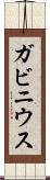 ガビニウス Scroll