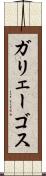 ガリェーゴス Scroll