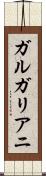 ガルガリアニ Scroll
