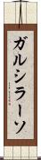 ガルシラーソ Scroll
