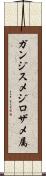 ガンジスメジロザメ属 Scroll
