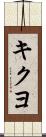 キクヨ Scroll