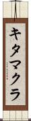 キタマクラ Scroll