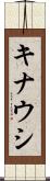 キナウシ Scroll