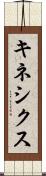 キネシクス Scroll