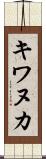 キワヌカ Scroll