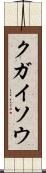クガイソウ Scroll