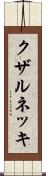 クザルネッキ Scroll