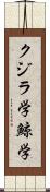 クジラ学 Scroll