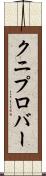 クニプロバー Scroll