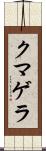 クマゲラ Scroll