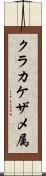 クラカケザメ属 Scroll