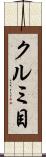 クルミ目 Scroll