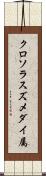 クロソラスズメダイ属 Scroll
