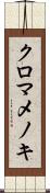 クロマメノキ Scroll