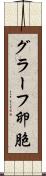 グラーフ卵胞 Scroll