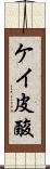 ケイ皮酸 Scroll