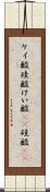ケイ酸 Scroll