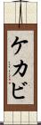 ケカビ Scroll