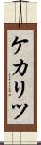 ケカリツ Scroll