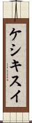ケシキスイ Scroll