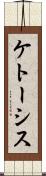 ケトーシス Scroll