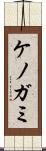 ケノガミ Scroll