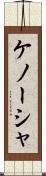 ケノーシャ Scroll
