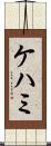 ケハミ Scroll