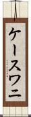 ケースワニ Scroll