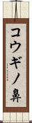 コウギノ鼻 Scroll