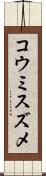 コウミスズメ Scroll