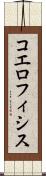 コエロフィシス Scroll