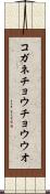 コガネチョウチョウウオ Scroll