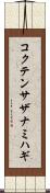 コクテンサザナミハギ Scroll