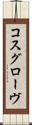 コスグローヴ Scroll