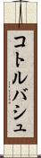 コトルバシュ Scroll
