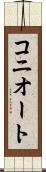 コニオート Scroll