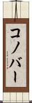 コノバー Scroll