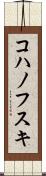 コハノフスキ Scroll