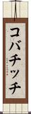 コバチッチ Scroll