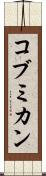 コブミカン Scroll