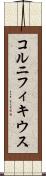 コルニフィキウス Scroll