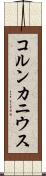 コルンカニウス Scroll