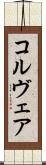 コルヴェア Scroll