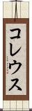コレウス Scroll